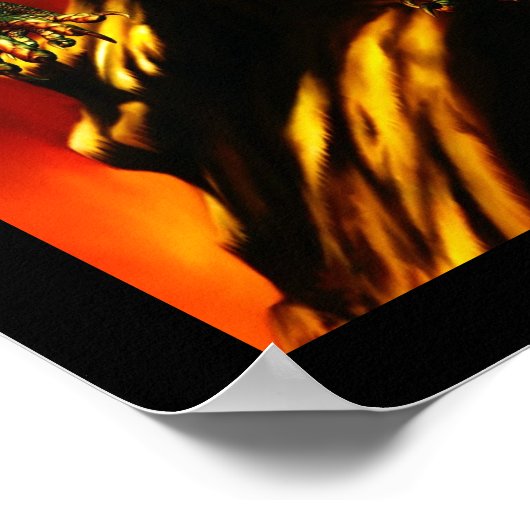 Der Drache Maiden Poster (Ecke)