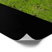 Der Drachenmagier Poster (Ecke)