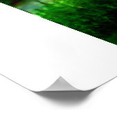 Der Dschungel Poster (Ecke)