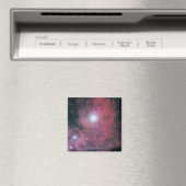 Der Dumbell-Nebel Magnet (In Situ (Geschirrspüler))