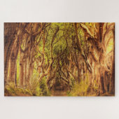 Der Dunkle hat Antrim Irland abgesichert. Puzzle (Horizontal)