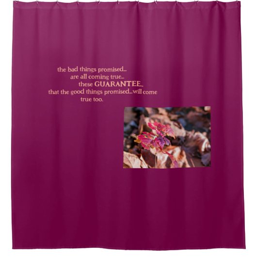 Der Duschvorhang mit Garantie (Vorderseite)
