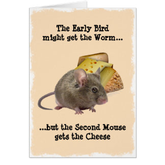 Der Early Bird erhält den Wurm...