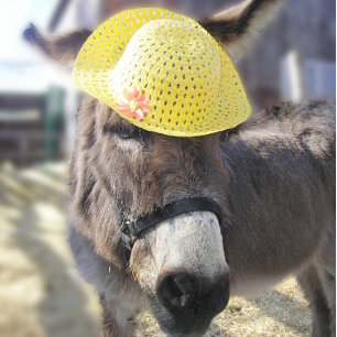 "Der echte Osterhase" Grußkarte Feiertagskarte