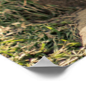 Der Eiersammler Poster (Ecke)