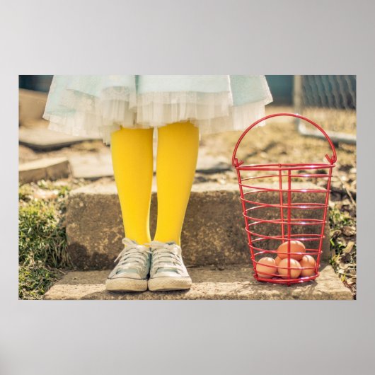 Der Eiersammler Poster (Vorne)