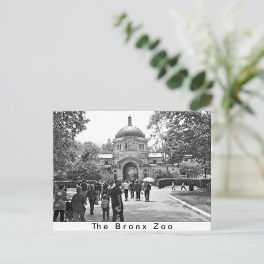 Der Eingang zum Zoo von Bronx Postkarte (Stehend Vorderseite)