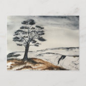 Der einsame Baum Postkarte (Vorderseite)