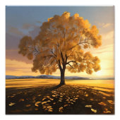Der einsame Herbstbaum: Eine Touch der Ruhe Fotodruck (Vorne)