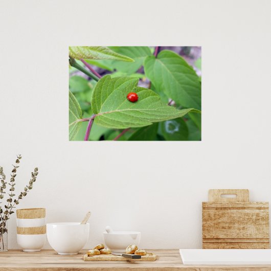 der einsame Ladybug Poster (Küche)