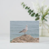 Der einsame Seagull (2134) Postkarte (Stehend Vorderseite)