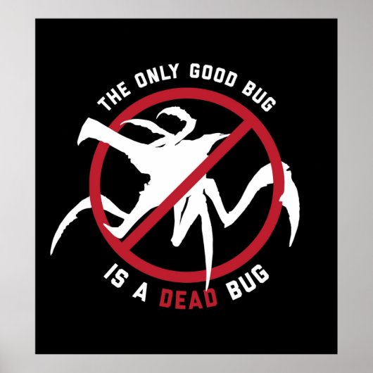 Der einzige gute Fehler ist ein toter Bug Poster (Vorne)