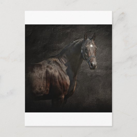 Der Einzige Postkarte (Vorderseite)