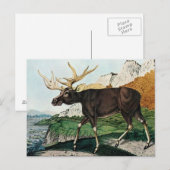 Der Elch oder The Elk (1886) Postkarte (Vorne/Hinten)