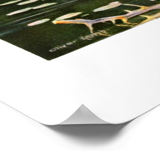 Der Elch Poster (Ecke)