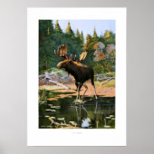 Der Elch Poster (Vorne)