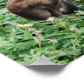 Der Elch Poster (Ecke)