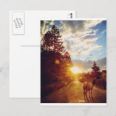 Der Elch Postkarte (Vorne/Hinten)