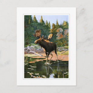 Der Elch Postkarte