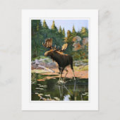 Der Elch Postkarte (Vorderseite)