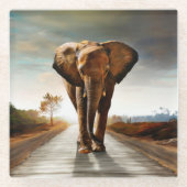 Der Elefant Glasuntersetzer (Vorderseite)