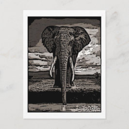 Der Elefant Postkarte