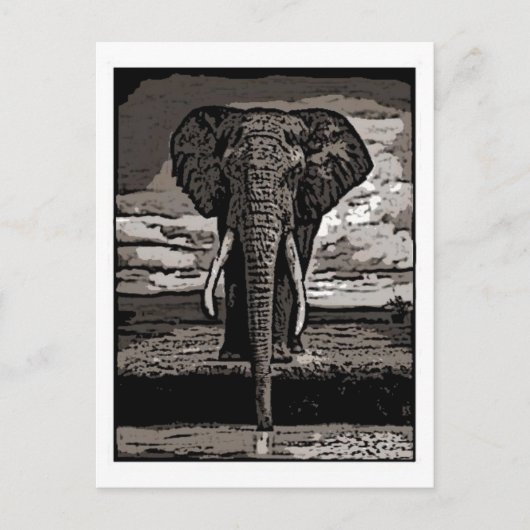 Der Elefant Postkarte (Vorderseite)
