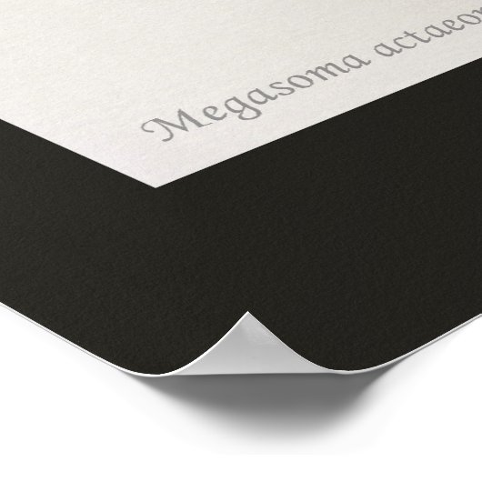 Der Elefantenkäfer Poster (Ecke)