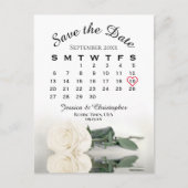 Der elegante White Rose Hochzeitkalender Save the  Ankündigungspostkarte (Vorderseite)