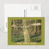 Der Elfenbaum Postkarte (Vorne/Hinten)
