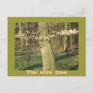 Der Elfenbaum Postkarte