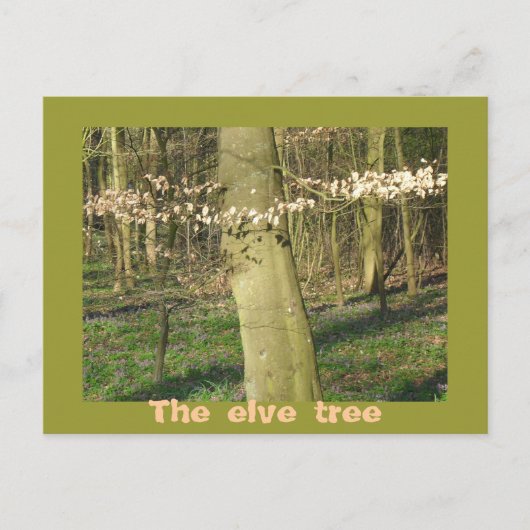 Der Elfenbaum Postkarte (Vorderseite)