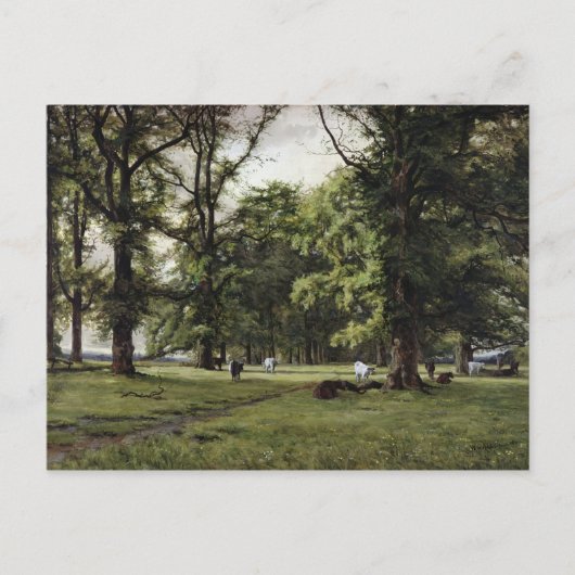 Der Elmweg Postkarte (Vorderseite)