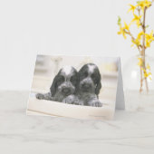 Der englische Cocker Spaniel ist eine Hunderasse. Karte (Gelbe Blume)