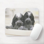 Der englische Cocker Spaniel ist eine Hunderasse.  Mousepad (Mit Mouse)
