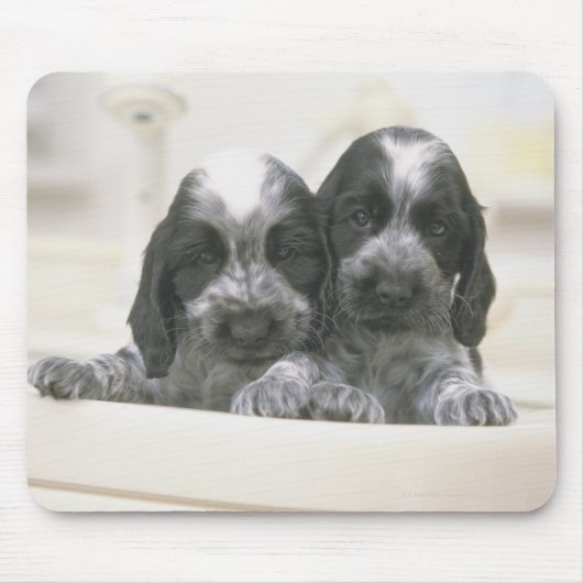 Der englische Cocker Spaniel ist eine Hunderasse. Mousepad (Vorne)