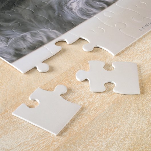 Der englische Cocker Spaniel ist eine Hunderasse. Puzzle (Seite)