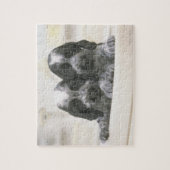 Der englische Cocker Spaniel ist eine Hunderasse.  Puzzle (Vertikal)