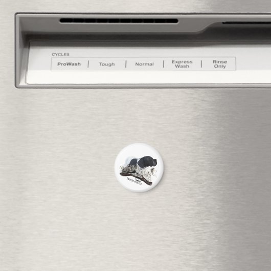 Der englische Pointer Magnet (In Situ (Geschirrspüler))