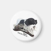 Der englische Pointer Magnet (Vorne)
