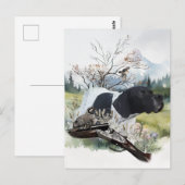 Der englische Pointer Postkarte (Vorne/Hinten)