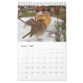 Der englische Robin Kalender (Jan 2027)