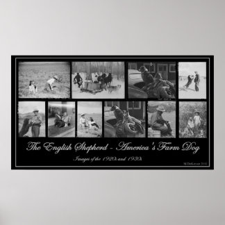Der englische Schäferhund - Amerikas Bauernhund Poster