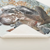 Der englische Setter , Die Jagd auf die Woodcock , Sherpadecke (3/4)