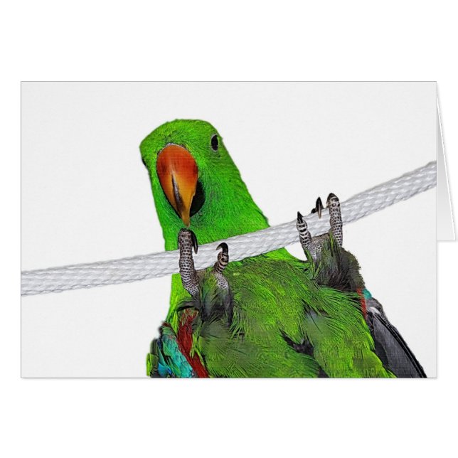 Der Entertainer (Vorderseite (Horizontal))