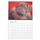 Der entscheidende Hundekalender Kalender (Feb 2027)