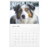 Der entscheidende Hundekalender Kalender (Jan 2027)