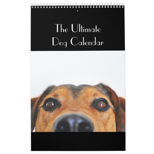 Der entscheidende Hundekalender Kalender (Titelbild)