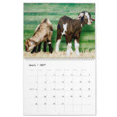 Der entscheidende Ziegen-Kalender Kalender (Mär 2027)