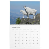 Der entscheidende Ziegen-Kalender Kalender (Jan 2027)